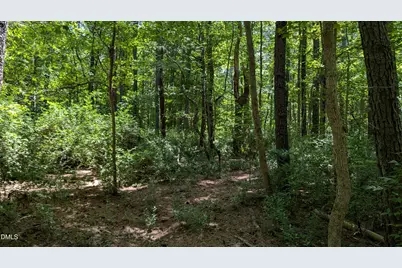 Lot 1 Blueberry Lane, Chapel Hill, NC 27516 - Photo 4
