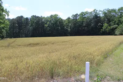 0 Lees Chapel Church Road, Plain View, NC 28334 - Photo 12