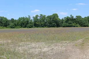 0 Lees Chapel Church Rd, Plain View, NC 28334 - Photo 1