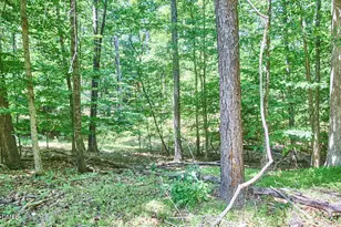 4204 Kerley Rd, Durham, NC 27705 - Photo 28