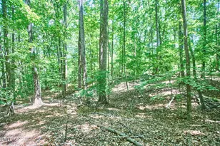 4204 Kerley Rd, Durham, NC 27705 - Photo 24
