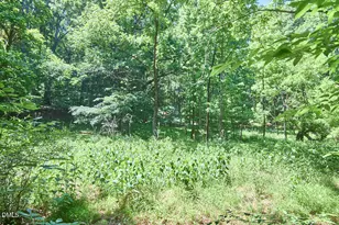 4204 Kerley Rd, Durham, NC 27705 - Photo 30