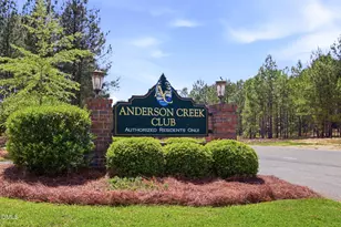126 Shining Water Ln, Spring Lake, NC 28390 - Photo 48