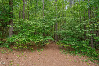 180 Great Woods Lane, Youngsville, NC 27596 - Photo 54