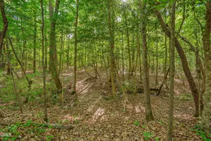 180 Great Woods Ln, Youngsville, NC 27596 - Photo 56