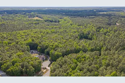 180 Great Woods Lane, Youngsville, NC 27596 - Photo 62
