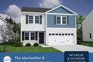 175 Buckthorn Dr, Youngsville, NC 27596 - Photo 4