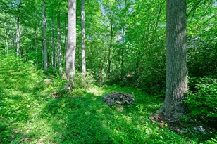 25 Posse Creek Rd, Burnsville, NC 28714 - Photo 26
