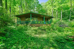25 Posse Creek Rd, Burnsville, NC 28714 - Photo 2