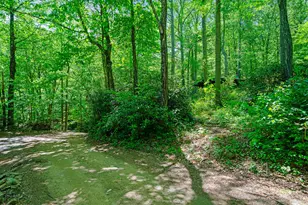 25 Posse Creek Rd, Burnsville, NC 28714 - Photo 24