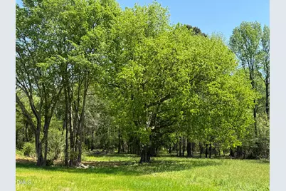 5545 Silk Hope Gum Spring Road, Siler City, NC 27344 - Photo 2