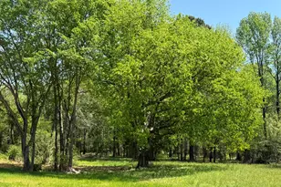 5545 Silk Hope Gum Spring Rd, Siler City, NC 27344 - Photo 2
