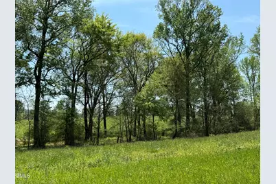 5545 Silk Hope Gum Spring Road, Siler City, NC 27344 - Photo 24