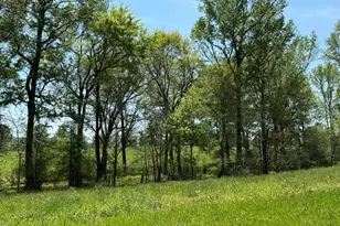 5545 Silk Hope Gum Spring Rd, Siler City, NC 27344 - Photo 24
