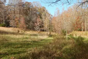 360 Roberson Creek Rd, Pittsboro, NC 27312 - Photo 90