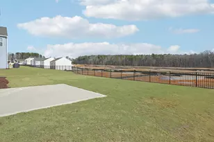 119 Saddle Mare St, Clayton, NC 27520 - Photo 38