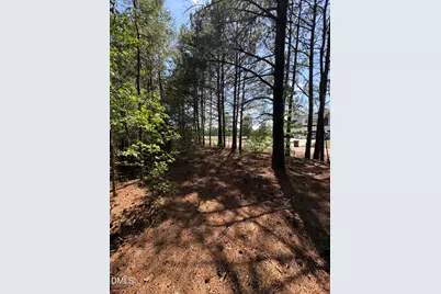 0 Jaback, Zebulon, NC 27597 - Photo 8