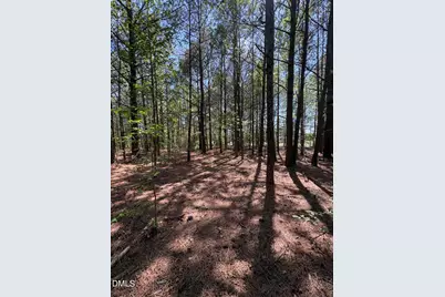 0 Jaback, Zebulon, NC 27597 - Photo 6