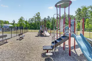 427 Emerald Shire Wy, Zebulon, NC 27597 - Photo 24