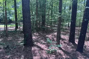 1 Autumn Woods Dr, Durham, NC 27713 - Photo 36