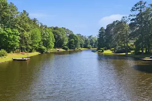 2209 Brookwood Trail, Sanford, NC 27330 - Photo 48