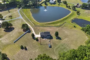 923 White Memorial Church Rd, Willow Springs, NC 27592 - Photo 44