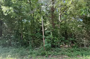 3415 Mt Willing Rd, Efland, NC 27243 - Photo 36