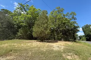 3415 Mt Willing Rd, Efland, NC 27243 - Photo 34