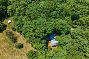205 Anolis Dr, Pittsboro, NC 27312 - Photo 62
