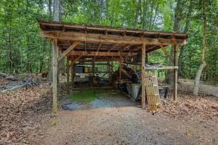 205 Anolis Dr, Pittsboro, NC 27312 - Photo 58