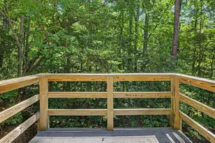 205 Anolis Dr, Pittsboro, NC 27312 - Photo 30