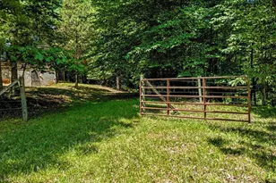 205 Anolis Dr, Pittsboro, NC 27312 - Photo 74
