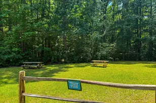 205 Anolis Dr, Pittsboro, NC 27312 - Photo 90