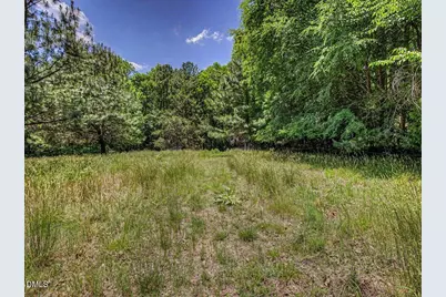 205 Anolis Drive, Pittsboro, NC 27312 - Photo 64
