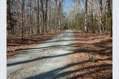205 Anolis Drive, Pittsboro, NC 27312 - Photo 90
