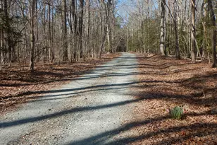 205 Anolis Dr, Pittsboro, NC 27312 - Photo 90
