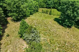 205 Anolis Dr, Pittsboro, NC 27312 - Photo 74