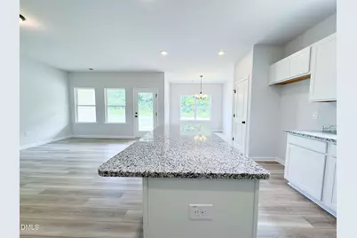255 Smith Farms Drive, Lillington, NC 27546 - Photo 4