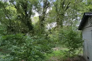 802 Walser Pl, Raleigh, NC 27601 - Photo 10