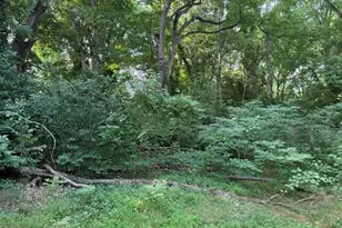 802 Walser Pl, Raleigh, NC 27601 - Photo 12