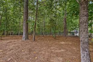 1074 Golfers View, Pittsboro, NC 27312 - Photo 92