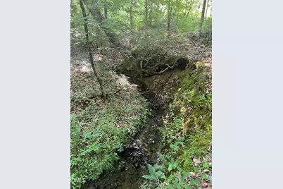 Lot 7 Fishing Creek Road, Enfield, NC 27823 - Photo 6