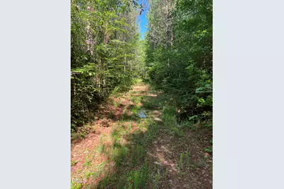 Lot 7 Fishing Creek Road, Enfield, NC 27823 - Photo 10