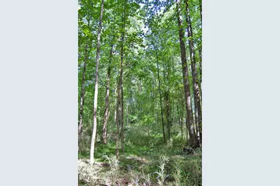 5305 Panther Creek Drive, Raleigh, NC 27603 - Photo 16