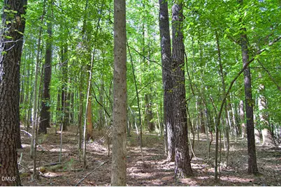 5301 Panther Creek Drive, Raleigh, NC 27603 - Photo 2