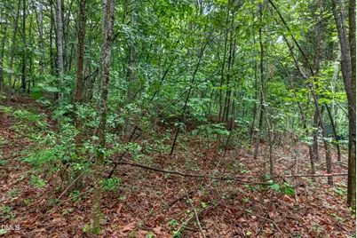 235 Eagle Drive, Louisburg, NC 27549 - Photo 2