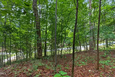 235 Eagle Drive, Louisburg, NC 27549 - Photo 6