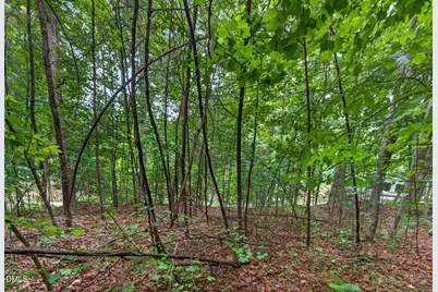 235 Eagle Drive, Louisburg, NC 27549 - Photo 4