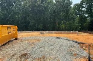 324 New Twin Br Ct, Smithfield, NC 27577 - Photo 2