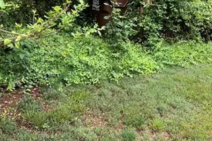20 Cedar Hill Rd, Asheville, NC 28806 - Photo 38
